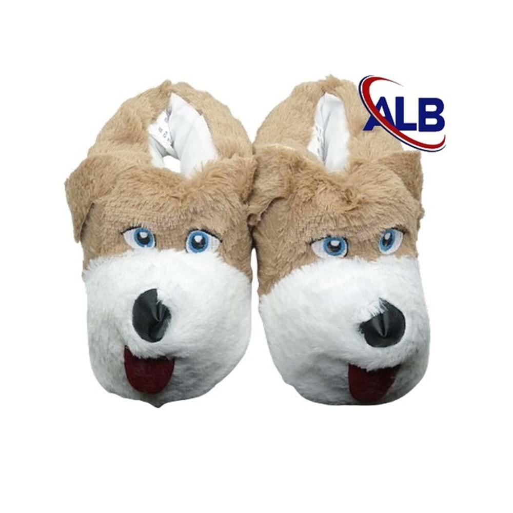 Z- ALB - KÖPEK - PANDUF - VİZON-BEYAZ