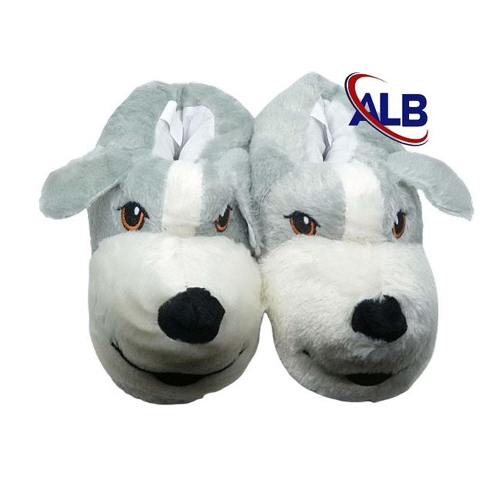 M- ALB - KÖPEK - PANDUF - GRİ-BEYAZ