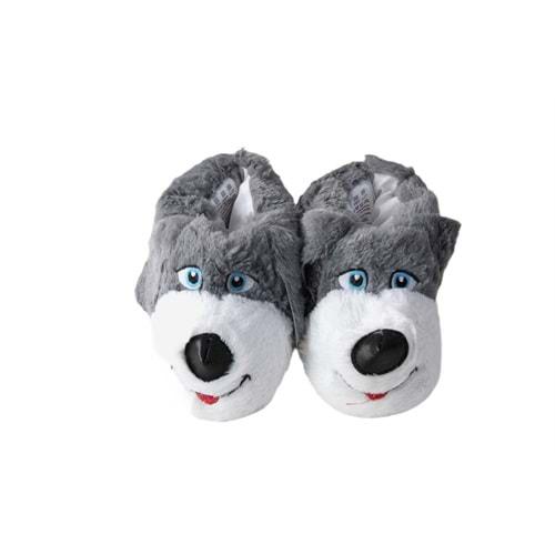 F- ALB - KÖPEK - PANDUF - FÜME-BEYAZ