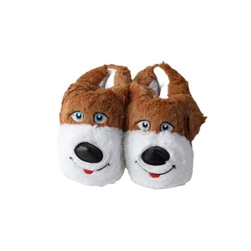 F- ALB - KÖPEK - PANDUF - TABA-BEYAZ