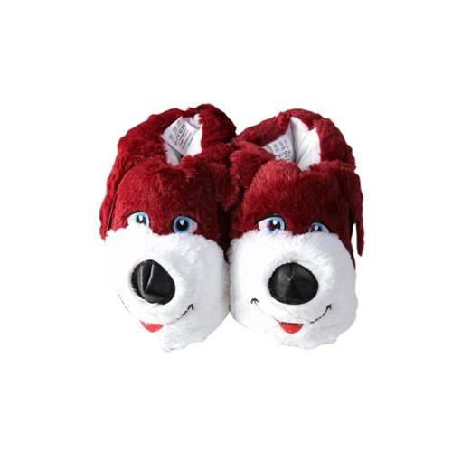 Z- ALB - KÖPEK - PANDUF - BORDO-BEYAZ