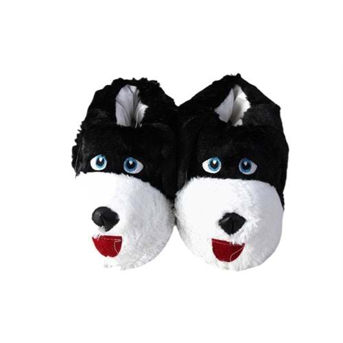 Z- ALB - KÖPEK - PANDUF - SİYAH-BEYAZ