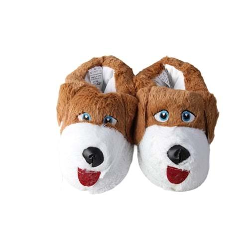 Z- ALB - KÖPEK - PANDUF - TABA-BEYAZ