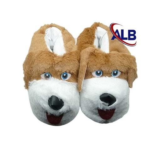 Z- ALB - KÖPEK - PANDUF - TABA-BEYAZ