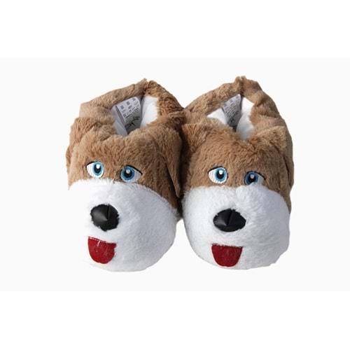 Z- ALB - KÖPEK - PANDUF - VİZON-BEYAZ