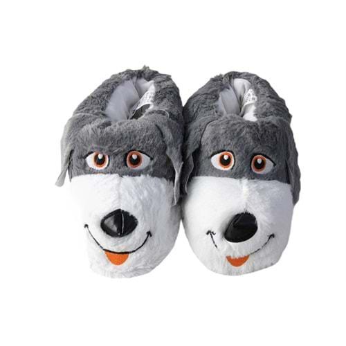 M- ALB - KÖPEK - PANDUF - FÜME-BEYAZ