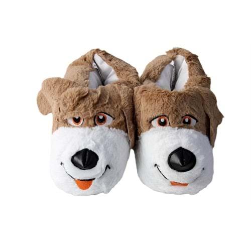 M- ALB - KÖPEK - PANDUF - TABA-BEYAZ