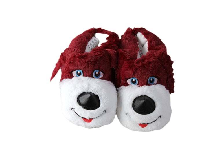 F- ALB - KÖPEK - PANDUF - BORDO-BEYAZ