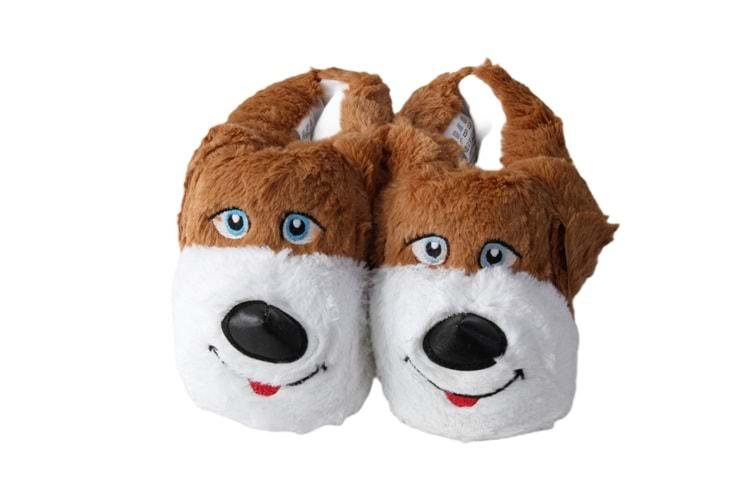 F- ALB - KÖPEK - PANDUF - TABA-BEYAZ