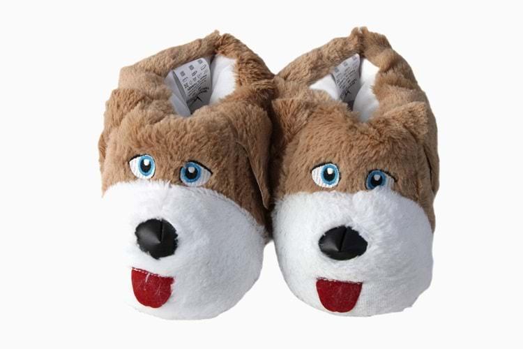 Z- ALB - KÖPEK - PANDUF - VİZON-BEYAZ